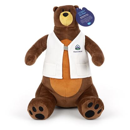 Codey the Bear Plush