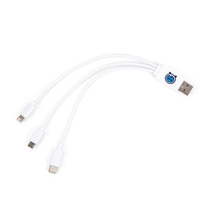 Astro Bot Charging Cable